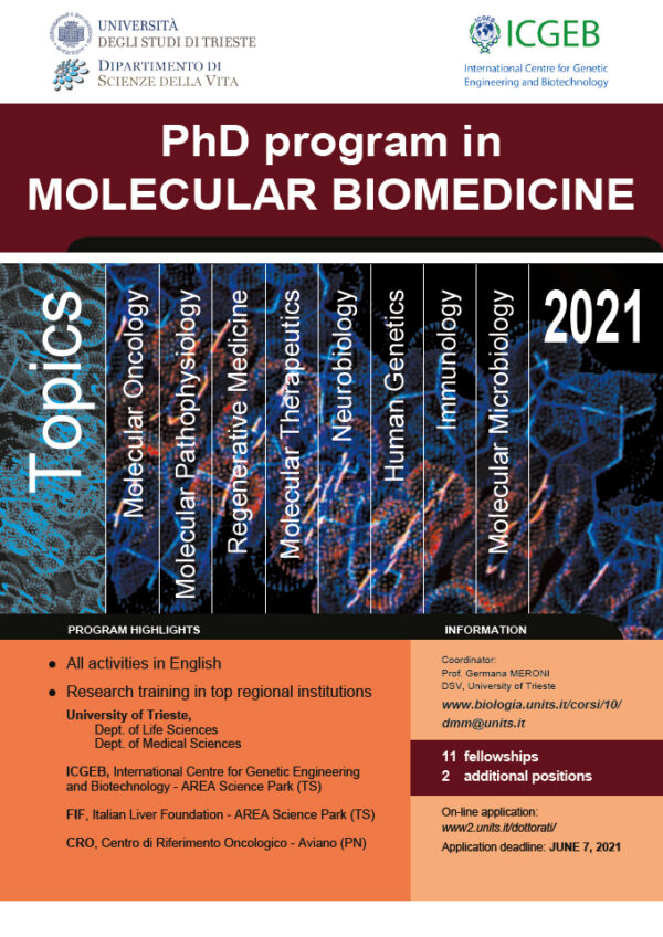 phd program molecular medicine