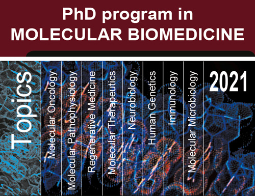 phd program molecular medicine